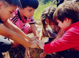 Aufforstung Bolivien